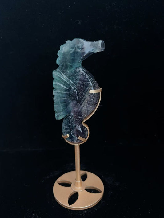 Fluorite Sea Horse  Carving | Nesaea
